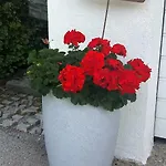 Regina Unger Maurach (Achensee)