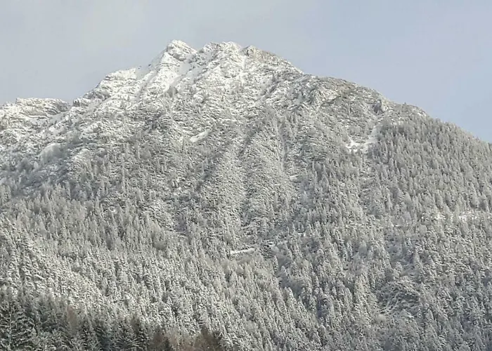 Regina Unger 아파트