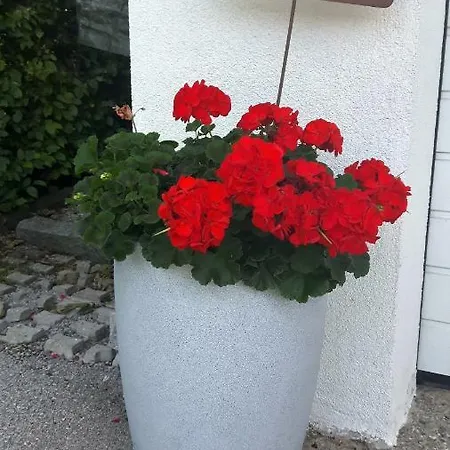 Regina Unger Maurach (Achensee)