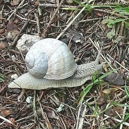 Regina Unger * Maurach (Achensee)